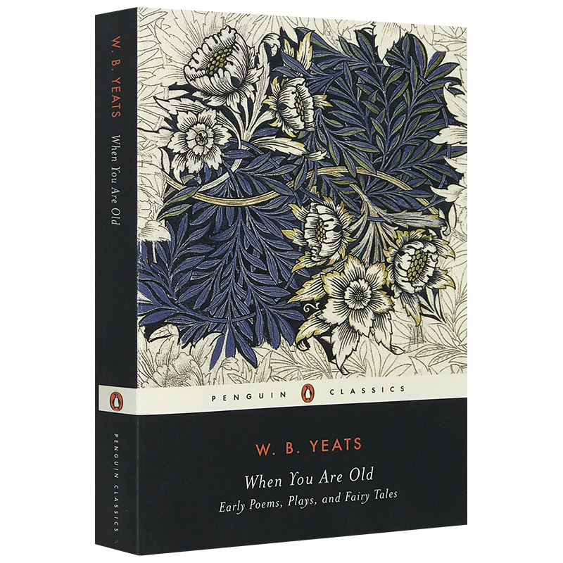 当你老了之后英文原版 When You Are Old叶芝早期诗歌戏剧童话故事作品文集W. B. Yeats获诺贝尔奖全英文版进口文学英语书籍_虎窝淘