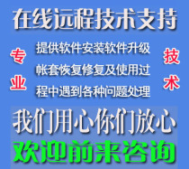 T3 SME Personal Generation Accounting Finance Software Business into Underwriting Catering Software Maintenance Service USB Lock