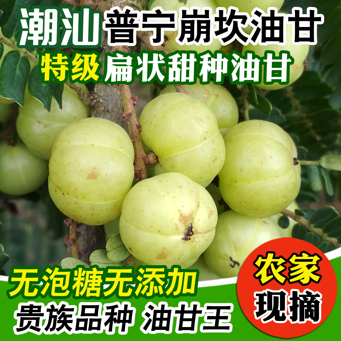 潮汕普宁崩坎甜油甘新鲜油甘果牛甘果余甘果滇橄榄甜种柿饼甜油柑