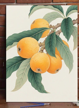 新中式水果花卉diy数字油画治愈系手工丙烯画0基础涂色画填色挂画