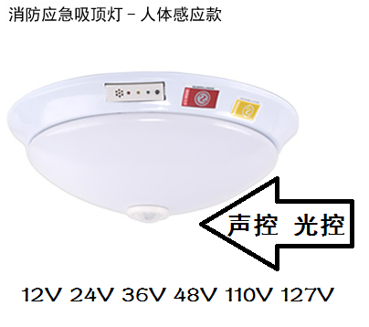 新国标消防通道应急灯24V36V低电压指示牌安全出口疏散灯两用双用 - 图1