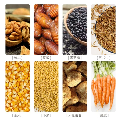 Kaiyuan brand new product 鸟 鸟 新 新 新 哥 哥 哥 食 食 食 食 开 ingredients, German probiotic grain boutique food