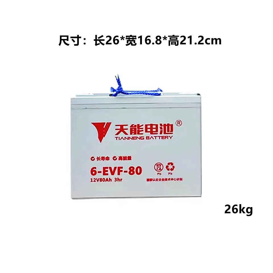 天能蓄电池电动三轮四轮车观光车洗地机12V100/80/150AH电瓶6V200 - 图2