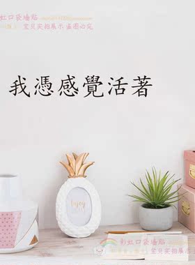 ins文艺风少女玻璃镜子装饰贴画