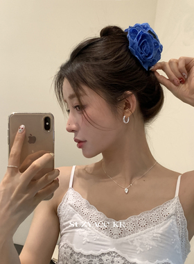 suzyacc kr蓝色刺绣玫瑰花朵抓夹法式高级感2026新款盘发发夹女
