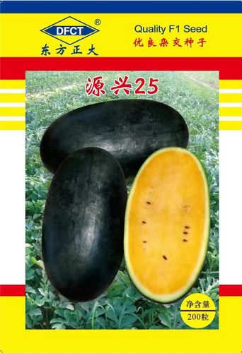 源兴25黑皮黄瓤西瓜种子超甜四季春季黑美人懒汉西瓜种籽蔬菜种孑-图0