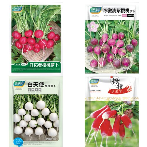 樱桃萝卜种子大全水果春秋樱桃萝卜菜籽四季种孑阳台盆栽蔬菜种籽 - 图0