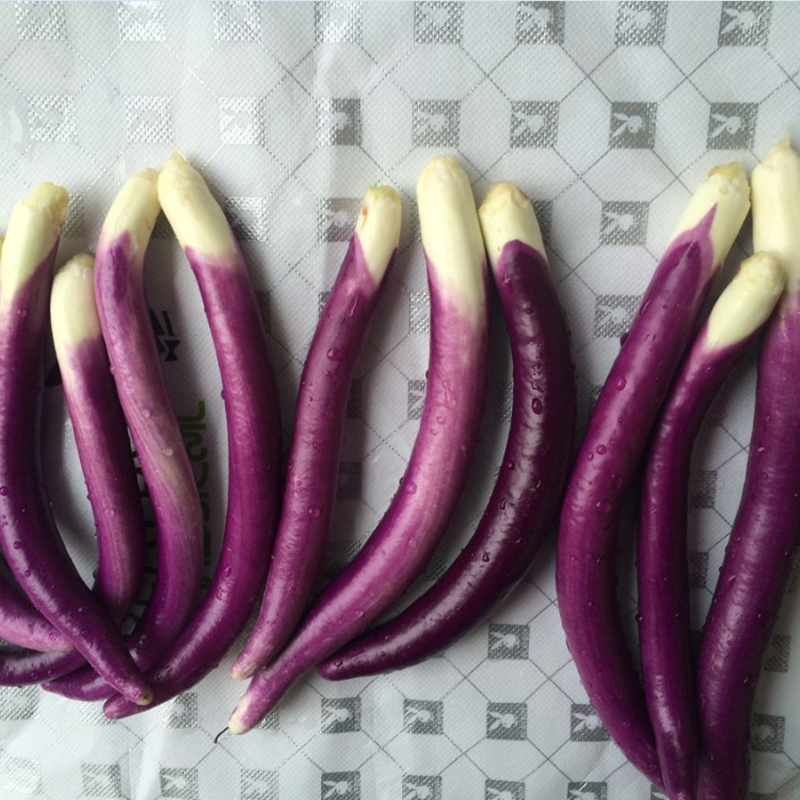 先峰线茄四季春夏长茄种子中早熟紫色面包型茄子蔬菜籽禾之元,淘宝优惠券,粉丝福利购,淘宝优惠卷