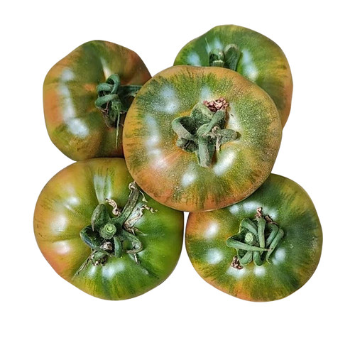 草莓番茄种子春季种苗柿子毛粉西红柿蔬菜四季种籽春季种孑籽甜柿 - 图3