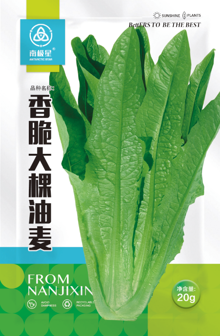 油麦菜种子四季青菜种籽大全阳台菜籽盆栽籽种春蔬菜孑菜种农家 - 图2