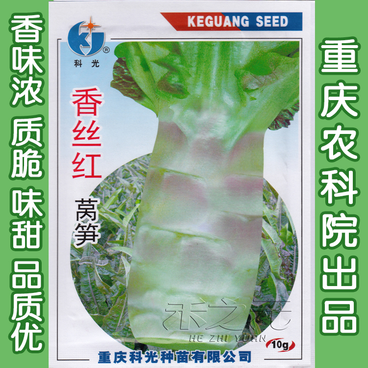 红莴苣种子莴笋苗秋冬莴苣菜种籽四季春秋蔬菜种孑莴笋种籽四季 - 图1