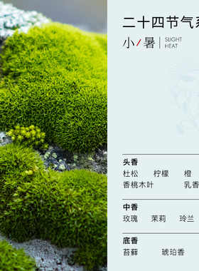 空白24节气【小暑】女士夏日舒爽香水持久清新淡香原创小众礼盒
