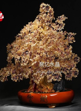 摇钱财宝搬家室内饰品天然黄水晶