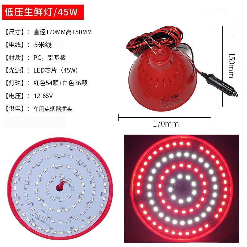 12v24v货车卖水果专用led点烟器插头水果灯户外摆地摊照明节能灯,淘宝优惠券,粉丝福利购,淘宝优惠卷