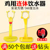 Chicken water drinker steel ball one-piece nipple hanging cup