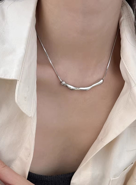 ins冷淡风蛇骨链新款锁骨链女