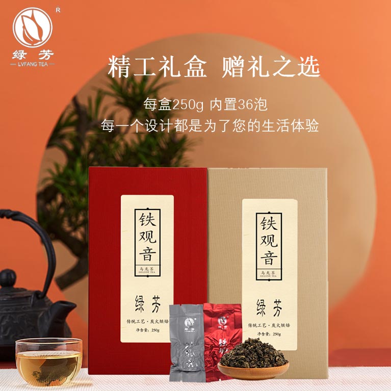 绿芳茶叶 新茶铁观音清香 浓香乌龙茶组合装耐泡茶礼盒装500g