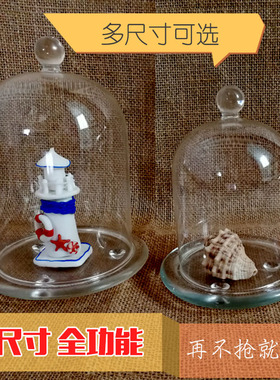 新品圆形蛋糕点心盘面包防尘柠檬