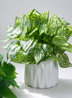 仿真绿植摆件小型客厅室内茶几盆栽电视柜桌面仿生植物假花高级感