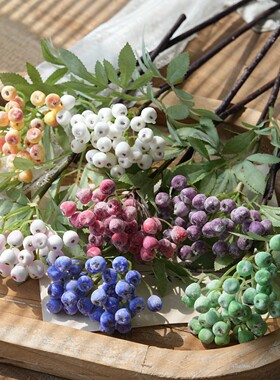 仿真果实野浆果花菜圣诞树装饰假树枝手捧花素材带霜蓝莓拍照道具