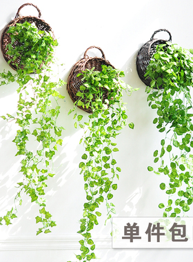 仿真藤条植物吊兰绿叶金钟柳挂墙