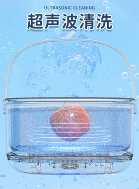 电动水果蔬菜清洗机食材净化器