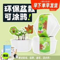 Degradable plant Self-planting potted gift Small flower farmers Kindergarten Children Mini customized planting canned blind box