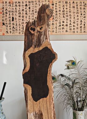 红乌木紫光檀孔洞原装饰材料茶壶垫材东非黑黄檀树瘤花纹薄板边G