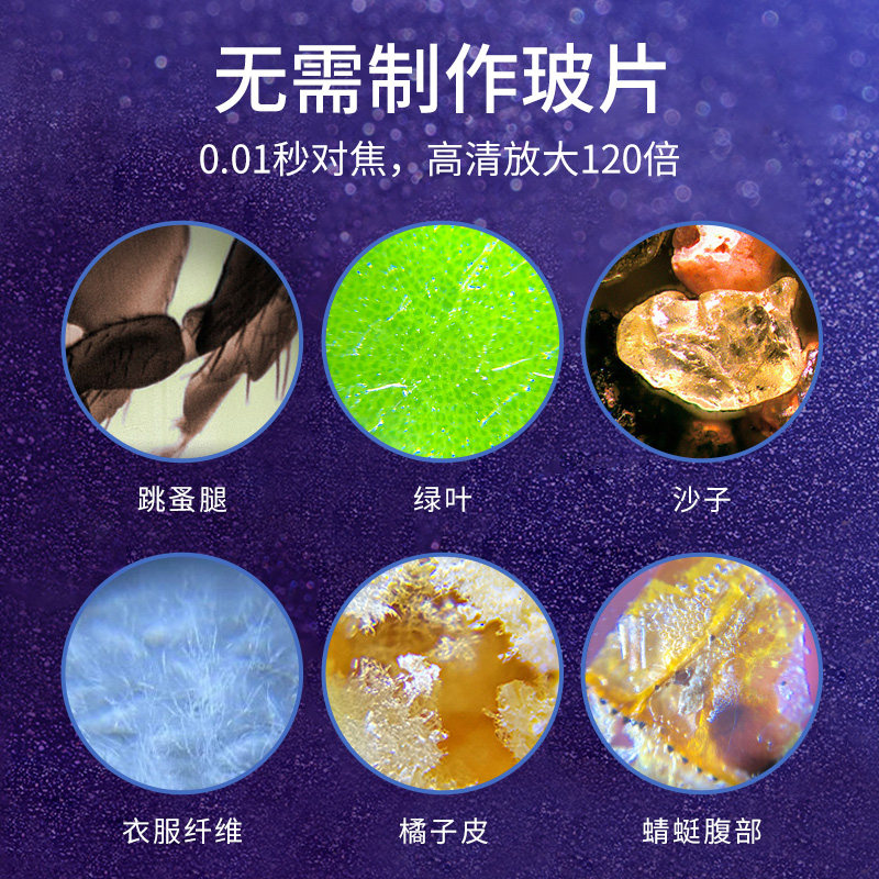 达尔文实验便携式小型120倍显微镜 光彩年华显微镜