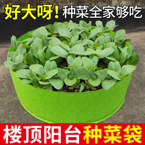 美植袋种植袋特大楼顶种菜防腐木种植花箱阳台无纺布加厚蔬果透气 - 图1