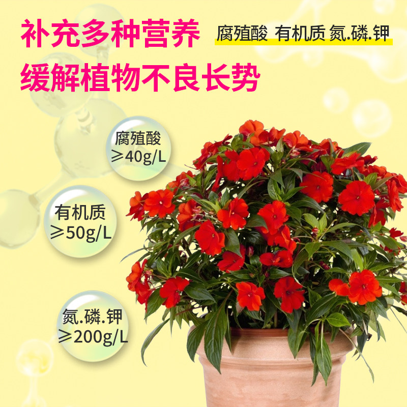 卡纳玛朵智补复壮素营养液花卉绿植多肉改善僵苗活力素园艺养花肥,淘宝优惠券,粉丝福利购,淘宝优惠卷