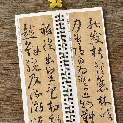 【现货正版】谢灵运草书册 草书毛笔书法字帖 经典碑帖书法临摹字卡原大版全文简体旁注成人学生初学者入门基础近距离书法毛笔字帖 - 图2
