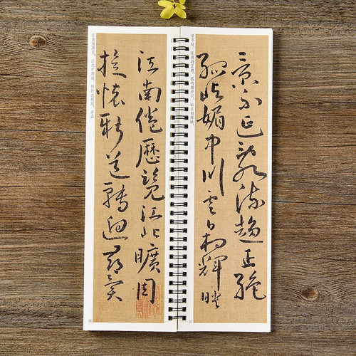 【现货正版】谢灵运草书册 草书毛笔书法字帖 经典碑帖书法临摹字卡原大版全文简体旁注成人学生初学者入门基础近距离书法毛笔字帖 - 图3