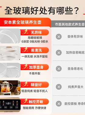 日本多功能养生壶玻璃烧水煮茶器