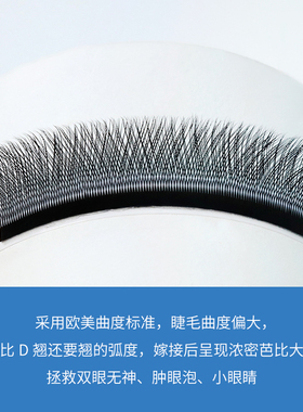 y型芭比翘卷嫁接睫毛郁金香柔软