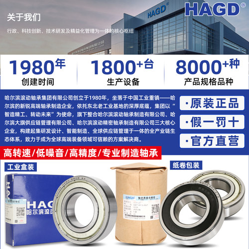HAGD哈尔滨轴承 6806 6807 6808 6809 6810 6811 -ZZ 2RZ官方自营 - 图2