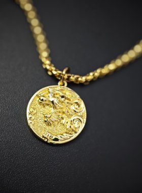 布拉德·皮特 Brad Pitt 同款叠戴金银色狮子牌牌项链型酷长项圈