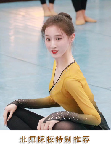 古典舞服装舞蹈纱衣身韵练功服女飘逸上衣网纱仙气演出艺术艺考 - 图1