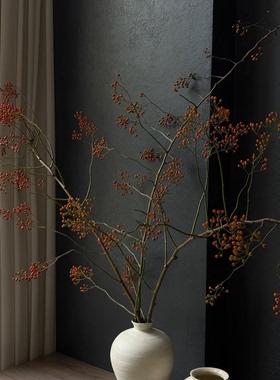 红色山归来干花束干树枝真花插花客厅桌面装饰摆件侘寂风瓶插花