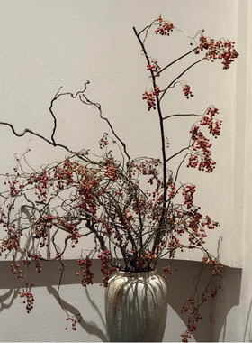 山归来红果永生花干花花束客厅摆设干树枝玄关插花天然高级感真花