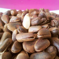 The opening of the Changbai Mountain opens with pine nuts.