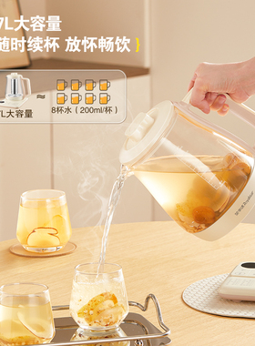 荣事达有钛养生壶2026新款大容量煮茶花茶壶炖煮一体电热烧水壶