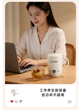多功能电炖杯婴儿辅食加热牛奶电热水杯办公室烧水保温杯便携煮杯