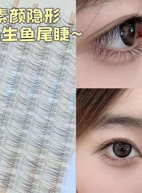 免胶透明鱼尾假睫毛自然分段超自然单簇日常新手懒人素颜仿真无梗