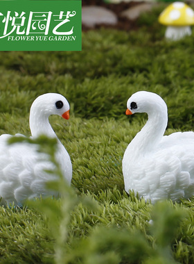 树脂微景观多肉情侣摆件
