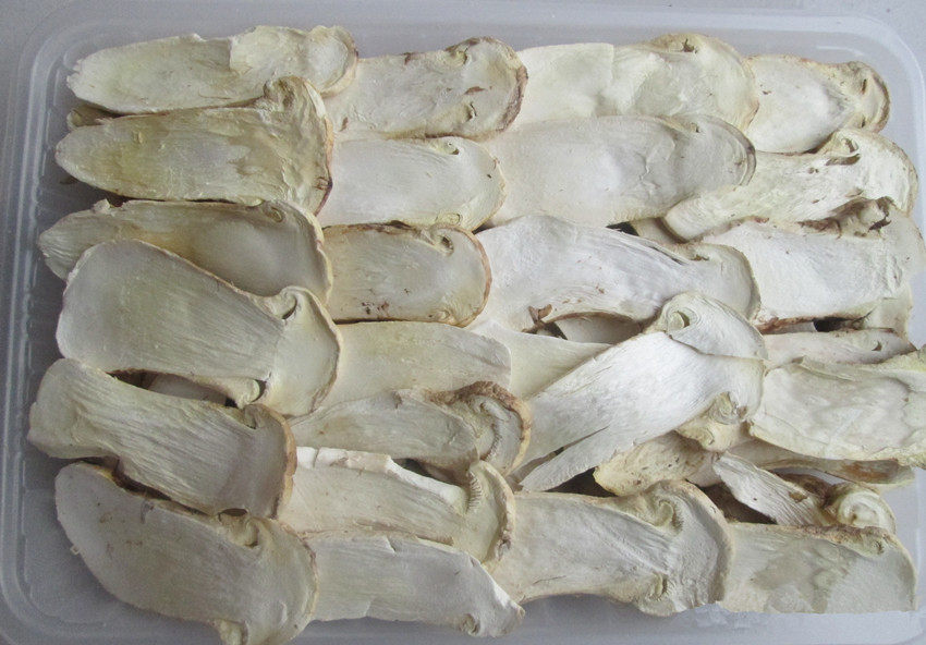 包邮冻干松茸干片礼盒 东北特产干货 20克