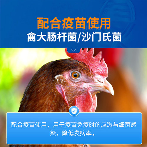 头孢噻呋钠注射兽用猪用牛羊针剂注射液鸡药禽药抗菌消炎兽药正品 - 图2
