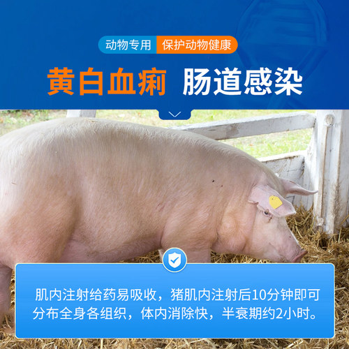 中龙神力乙酰甲喹注射液痢菌净兽药针剂仔猪牛羊肠炎犊腹泻黄白痢 - 图1