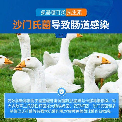 中龙神力鸡用药硫酸新霉素兽用可溶性粉新霉素兽药猪鸡禽白痢肠炎 - 图1