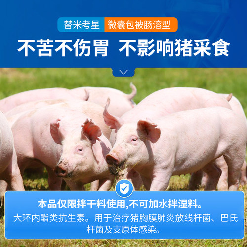 中龙神力包被替米考星兽用正品兽药猪药鸡感冒药鸭呼吸道病预混剂 - 图1